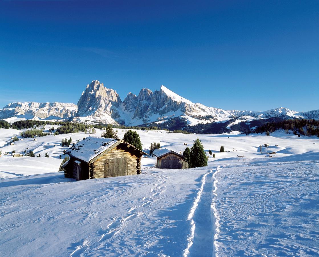 Hotel Friedemann Rasùn di Sotto Exteriér fotografie